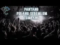 Download Lagu DJ PANTANG PULANG SEBELUM TUMBANG JUNGLE FULL BASS[zZDrmHard BAS MIX
