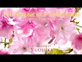 Download Lagu 528Hz Peaceful Piano Album \