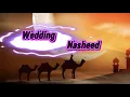 Download Lagu Wedding Nasheed 🌙💍 – A Soulful Celebration of Love and Faith