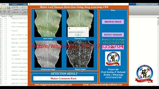 Maize Leaf Disease Detection Using Deep Learning CNN With Source Code Matlab Project Code
