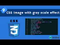09 CSS Image with Gray Scale Effect css tutorial for beginners UiBrains NAVEEN SAGGAM