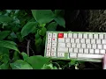 DCD Hundred Acres - Winnie-The-Pooh Keycaps Review