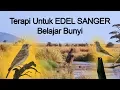 Download Lagu Terapi Edel Sanger Belajar Bunyi