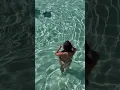 Stingray cove