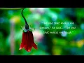 Katie Melua - Just Like Heaven (Lyrics)