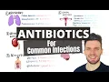 Antibiotic Choices for Common Infections Antibiotics Mnemonic How to Choose an Antibiotic