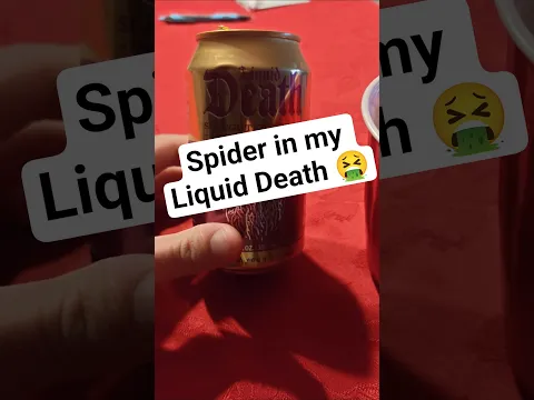 found a spider in my liquid death can @liquiddeath2793 #liquiddeath #spider - YouTube thumbnail