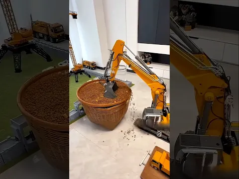 This cat's food took an epic journey 😺😂