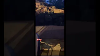 بوسي جيلكم يالي نصحتوني                      دندنها