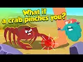 What Happens If a Crab Pinches You How Strong Is Crabs Claw How to Survive Dr Binocs Show