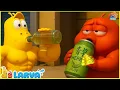 Download Lagu LARVA SEASON 2 EPISODE 395 ~480🍟 NEST VERSION LARVA 2025 | COMICS | MINI SERIES FROM ANIMATION LARVA