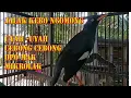 Download Lagu JALAK KEBO NGOMONG UYAH UYAH SHOLAT TARAWEH JOS GANDOS