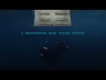 Billie Eilish - BITTERSUITE (Official Lyric Video)