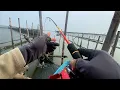 Download Lagu Tambah Rame…! Ikan Disinii Semakin Menggila, Spot Mancing Dasarannya Makin Gacor