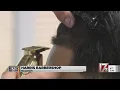 Honoring Black History Harris Barber College in Raleigh