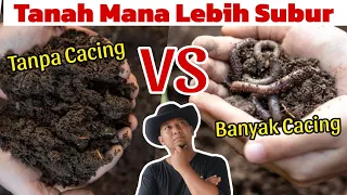 Cacing Tanah Gak Bikin Subur⁉️