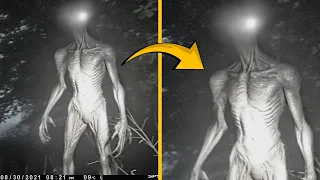 Trail Camera Captures What No One Was Supposed To See!