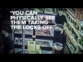 Ball Pythons valued near 2 000 stolen from Stockton pet store