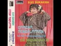 Download Lagu ELVY SUKAESIH -- PENANTIANKU