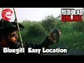Bluegill Locations rdr2 Online - Red Dead Online Bluegill Location Guide