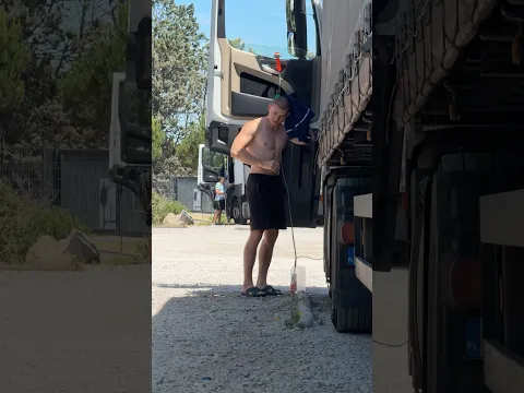Европейские волки