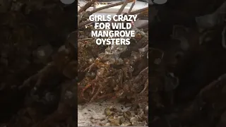 Spanish girls loved eating fresh oysters #windedvoyage #sailinglifestyle #africatravel #casamance