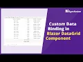 Blazor DataGrid Custom Data Binding with Paging Filtering and CRUD