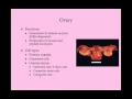 Download Lagu The Menstrual Cycle - CRASH! Medical Review Series