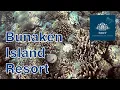 Download Lagu Bunaken Island Resort, Indonésie. Coraux, Corals, Karang, Korallen,   المرجان