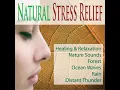 Falling Rain for Tension Relief