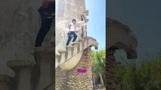 ماهو سر برج الحمام فيسينا 