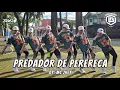 Lagu PREDADOR DE PERERECA by MC Jhey | Zumba | Los Bomba