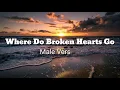 Where Do Broken Hearts Go - Male Version ( Vedio  lyrics )
