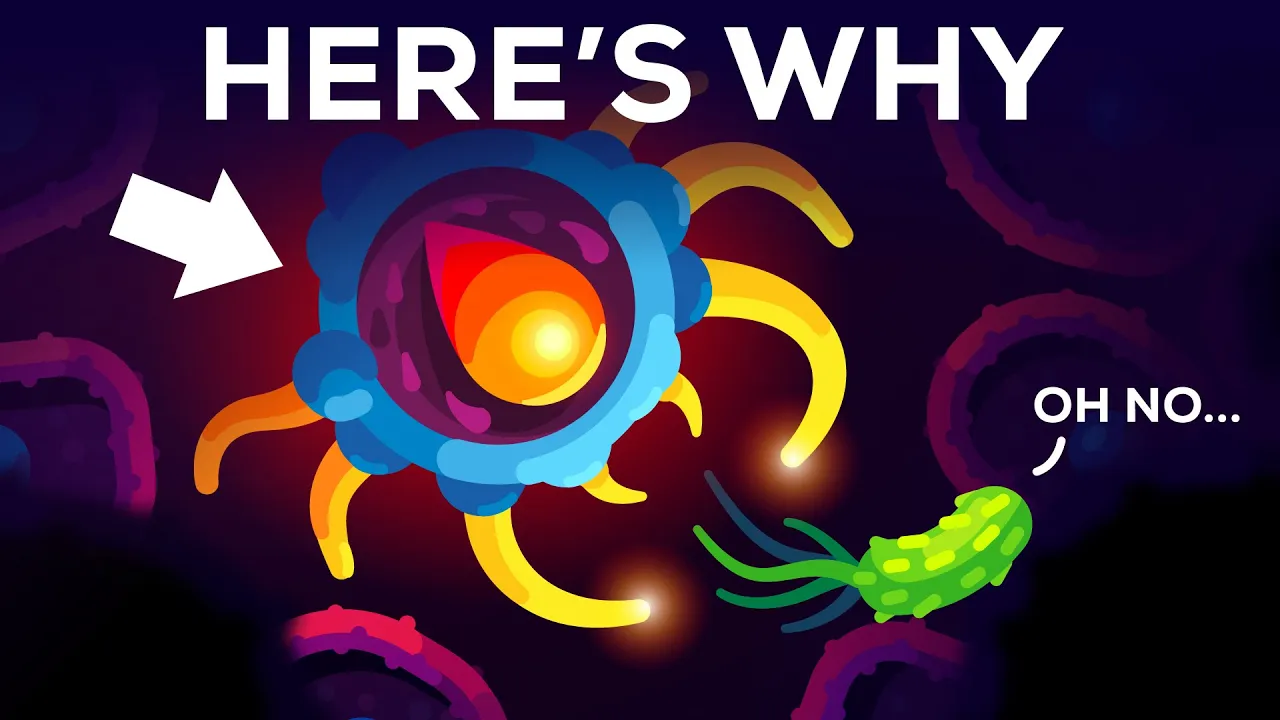 Outline Video You Are Immune Against Every Disease