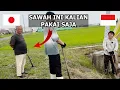 Download Lagu ALHAMDULILLAH! PETANI JEPANG TAWARI SAWAHNYA UNTUK DITANAM KANGKUNG