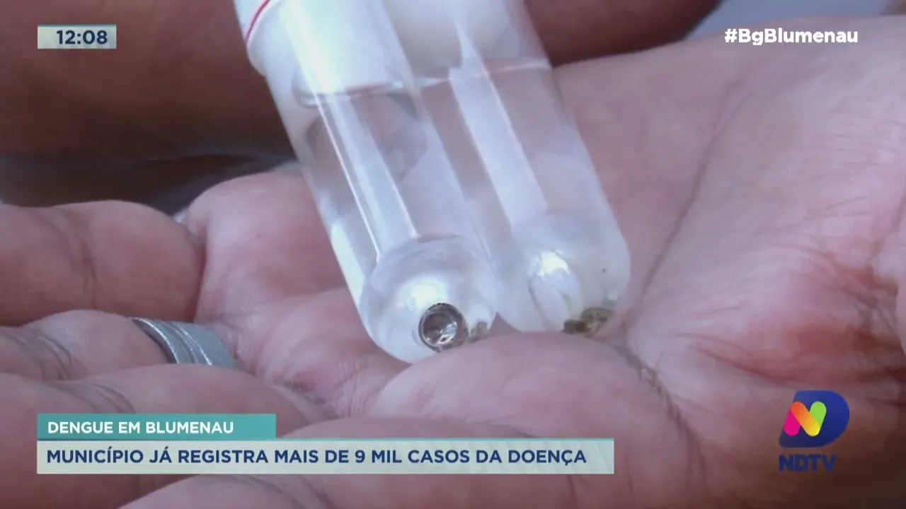 Dengue em Blumenau: município já registra mais de 9 mil casos da doença