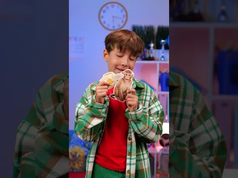 What's Animal's Favorite Snack? 🐻🍯