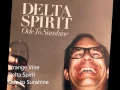 Lagu Delta Spirit - Strange Vine