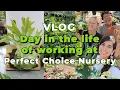 Come to work with us at Perfect Choice Nursery What its really like to work at a Garden Center