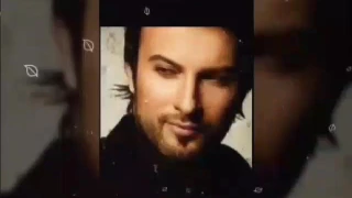 لا خلص    كل الكلام دندنها