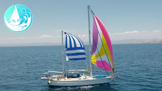 The Sea of Cortez in summer