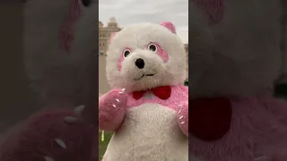 الباندا الكيوت    الباندا  الغوريلا        دندنها