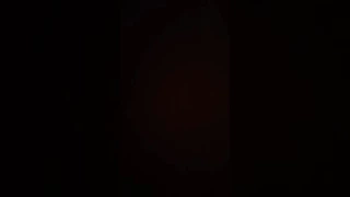 عيش وسكر وطن دندنها