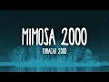 Furacão 2000 - Mimosa 2000 (Letra)