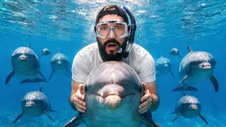 Private Tour of World's Best Aquarium 🇧🇸