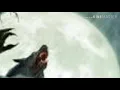 Download Lagu Aku lah serigala (crik firdan agustian pratama)