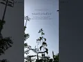 Download Lagu Surah Al Haqqah Urdu Translation!
