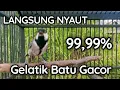 Lagu ANTI GAGAL!! PANCINGAN GELATIK BATU GACOR 99,99% NYAUT DIJAMIN CEPAT RESPON