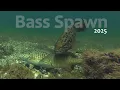 Download Lagu Bass Spawn 2025