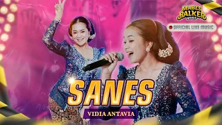 Download SANES - VIDIA ANTAVIA DI SENGGAK NDARBOY GENK (OFFICIAL LIVE MUSIC) “TOK GANJEL TOK” MP3